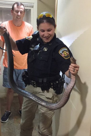 Deputy Lindsay Scotten holding the snake.